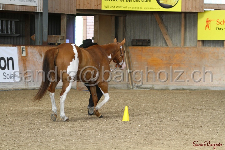 23-APHA SS_007.jpg